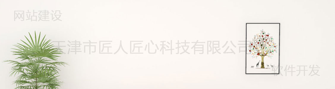 天津网站建设_天津网站制作_天津网页设计_匠人匠心科技