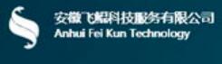 安徽飞鲲科技服务有限公司